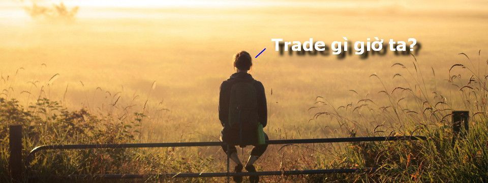 Tuần mới trade gì nhiều sóng?