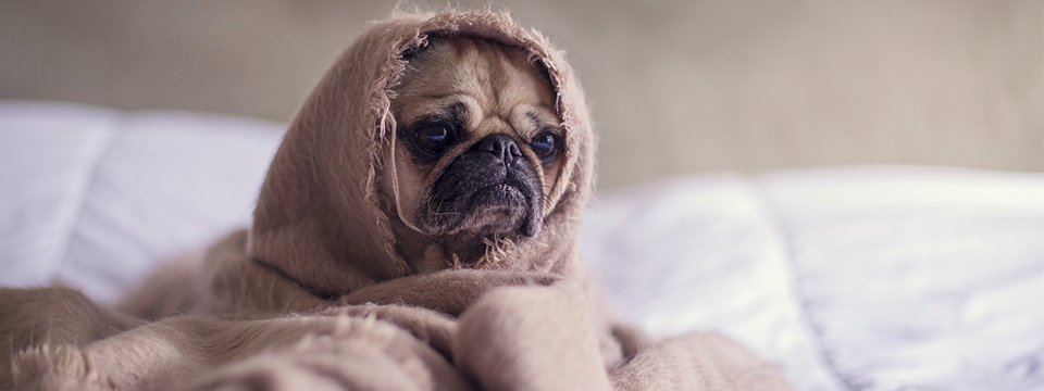 [Khảo sát] Vì sao bạn không thích Binary Options?