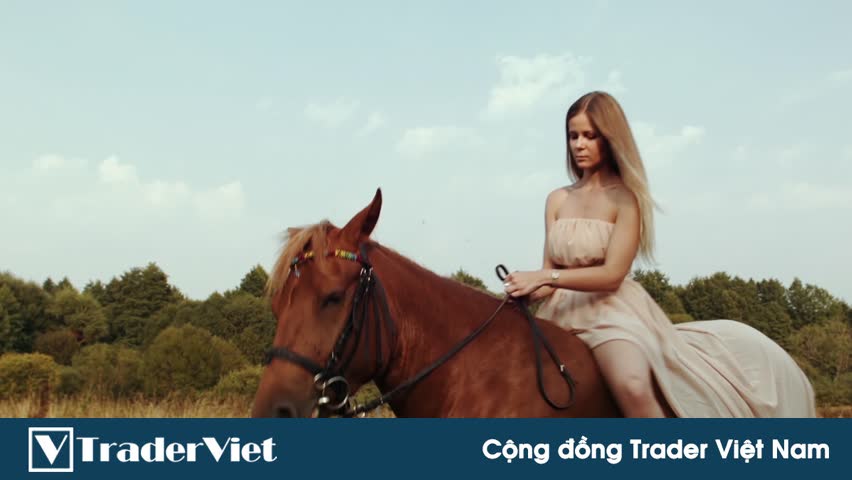 TOP 5 Altcoin đáng chú ý - Những con ngựa chạy ngược dòng - Tuần 5-12/10