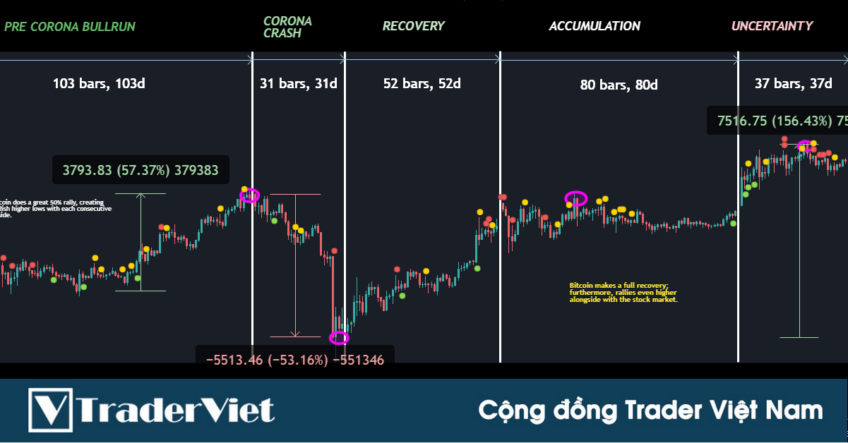 Dữ liệu giá của Bitcoin trong năm 2020 cho chúng ta biết những gì?