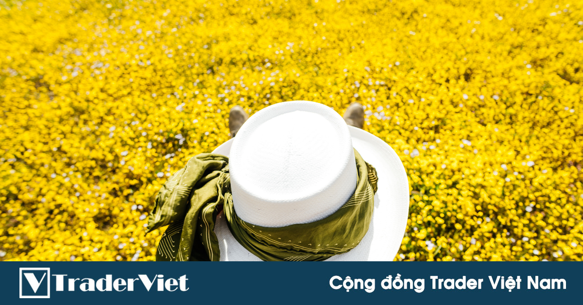 Real Trade của tôi - Vì sao tôi nhắm đến EURJPY?