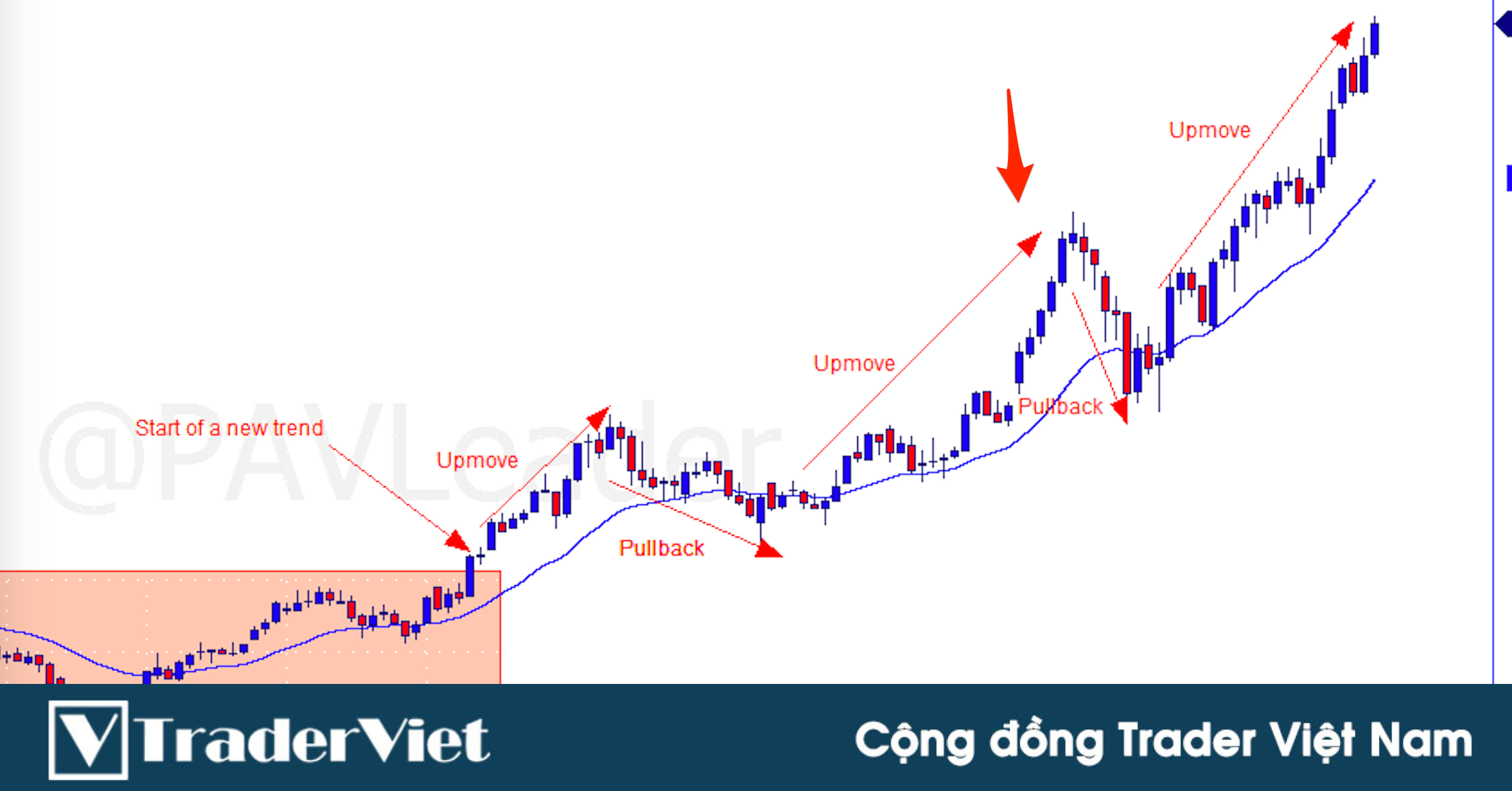 Thành thạo Price Action trong 30 ngày - Ngày 9: Cách lướt con sóng dài (tt)
