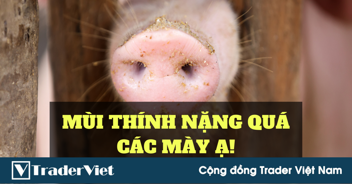 (Chuyện TraderBiz) Thính Quốc Tế cực mạnh !!!