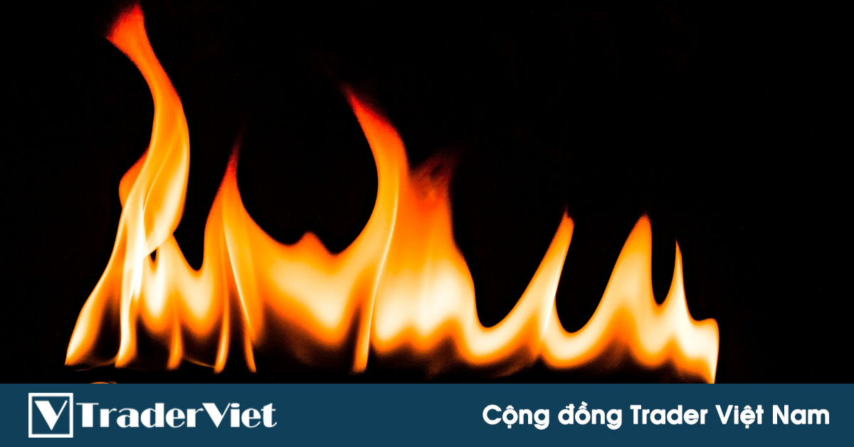 (Quan điểm Trader) Tôi nghĩ Trader là phải CHÁY TÀI KHOẢN. Đây là lý do