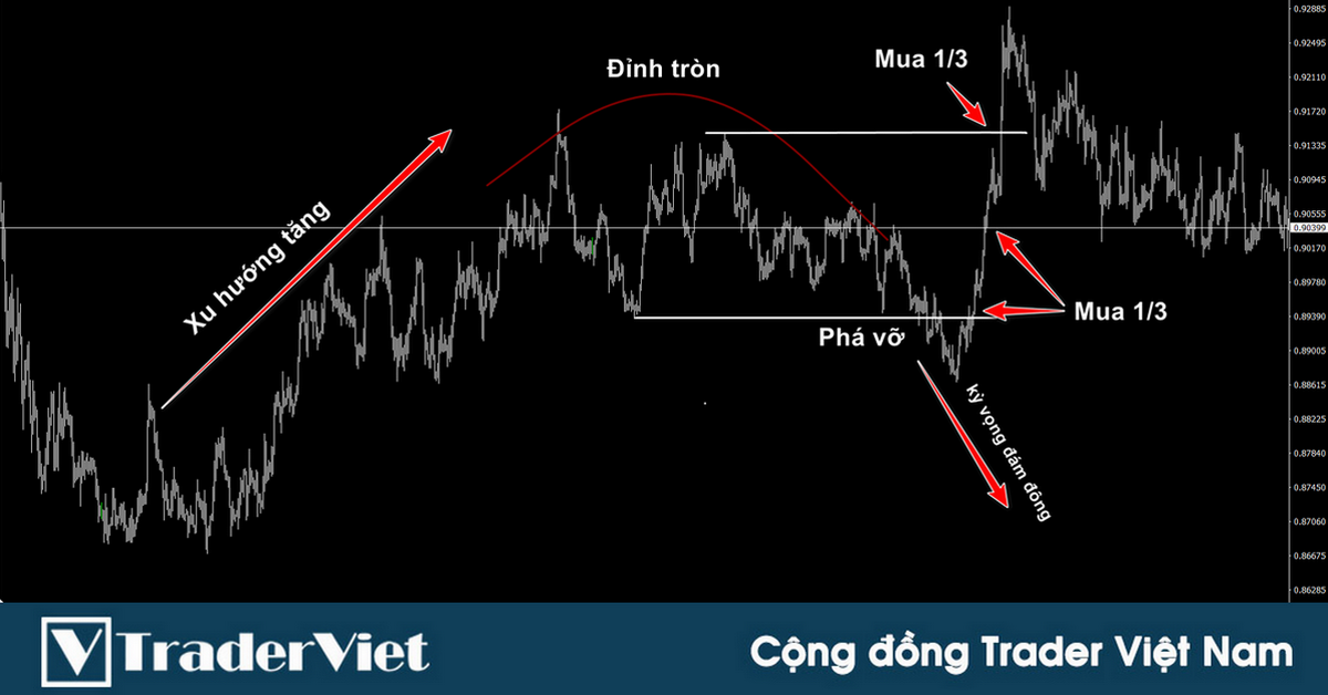 Chiến lược giao dịch "Lội ngược dòng" - Dễ hiểu, dễ dùng và xác suất thắng cao!