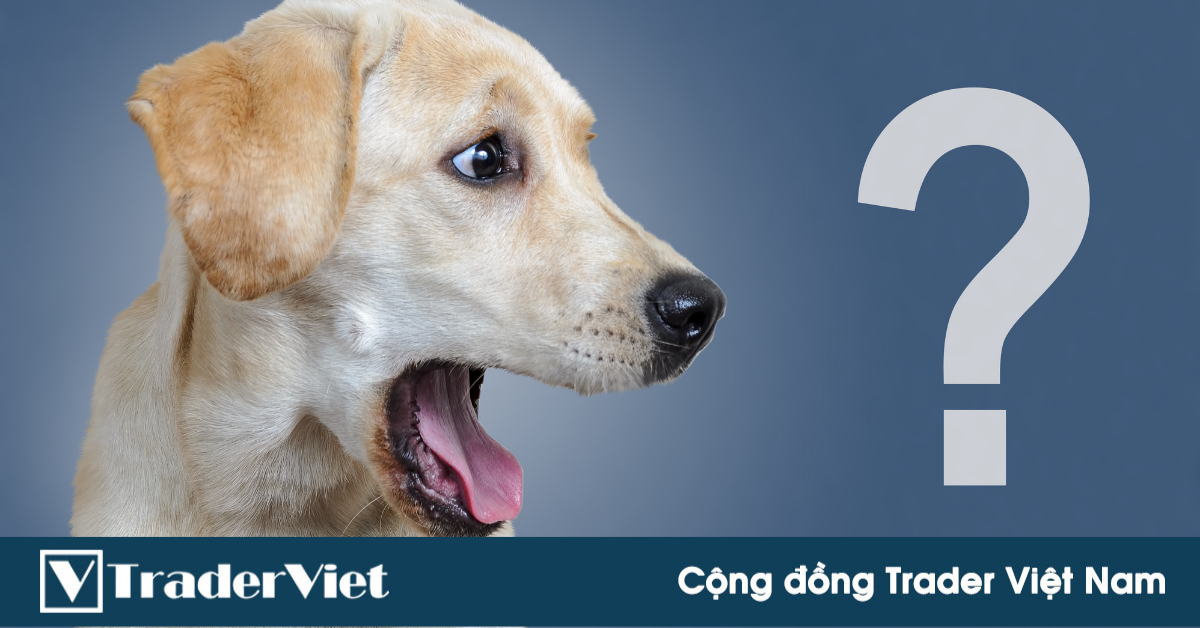 Khả năng cao là KỊCH BẢN 2016 lặp lại?