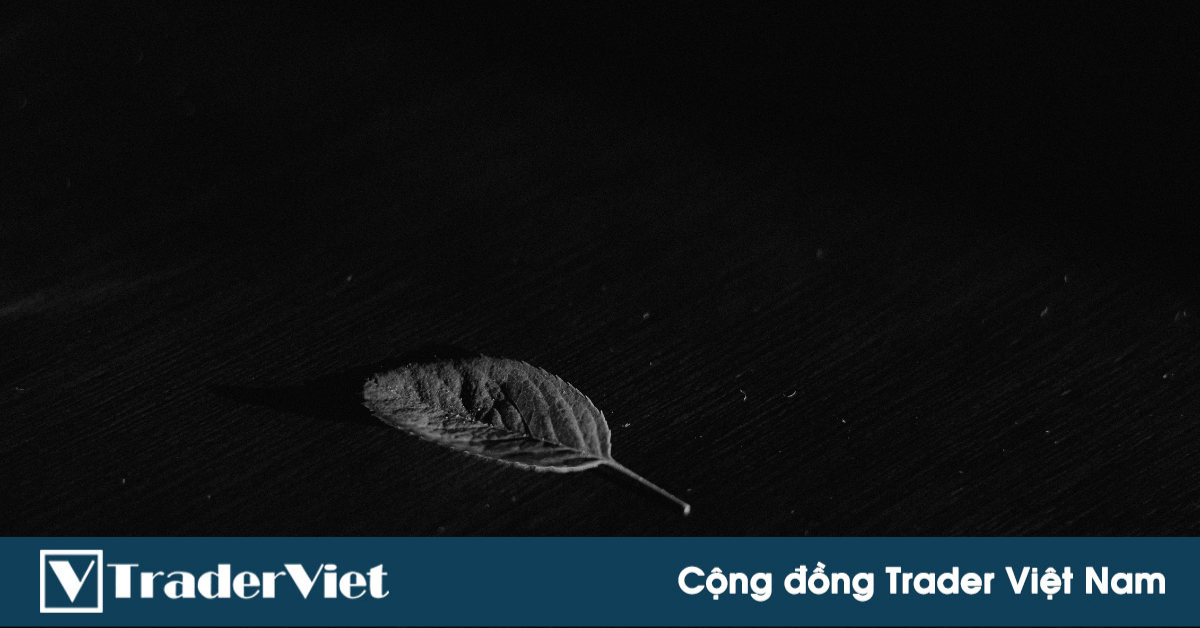 Khả năng ông Biden được nhiều phiếu hơn ông Trump nhưng vẫn thua chung cuộc