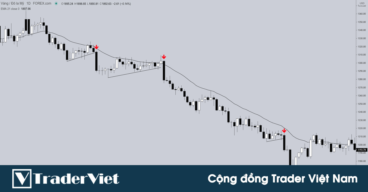 Tuyệt chiêu bắt con sóng lớn bằng 1 thanh nến Marubozu