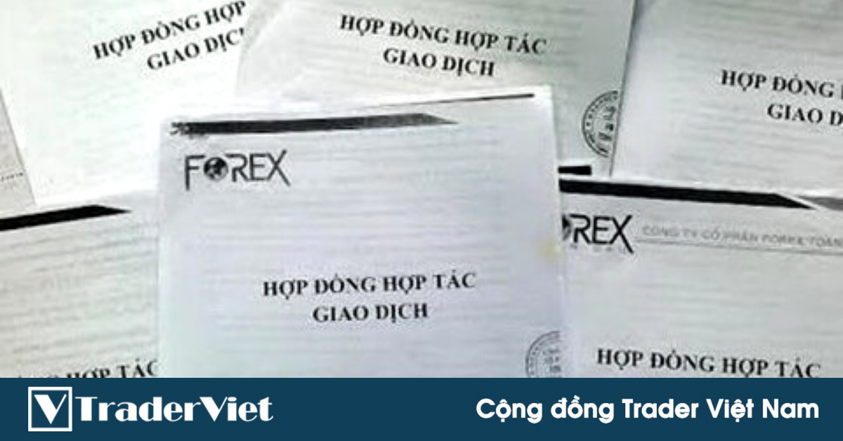 Truy tố Tổng Giám đốc Công ty Forex Toàn Cầu về tội lừa đảo