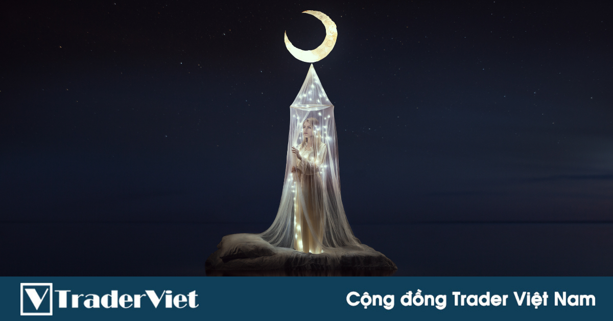 (Trader chia sẻ) Có những Trader thôi cứ để họ trong mộng ...