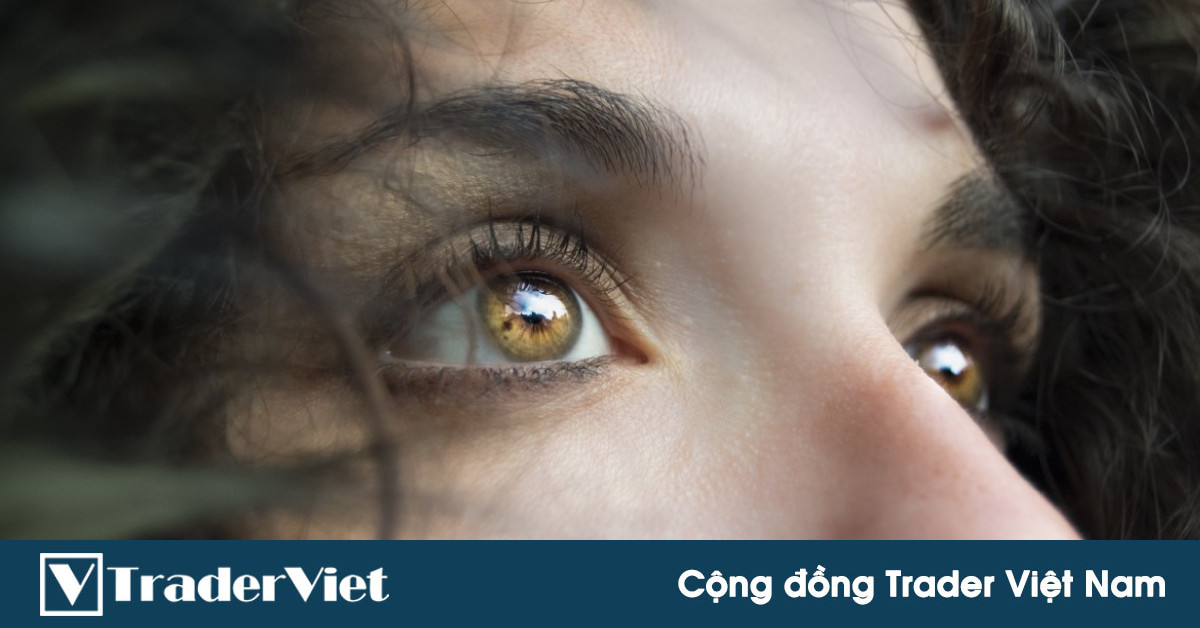 4 dấu hiệu cho thấy trader ngày một tiến bộ. Lời lỗ đôi khi không quan trọng bằng những điều này