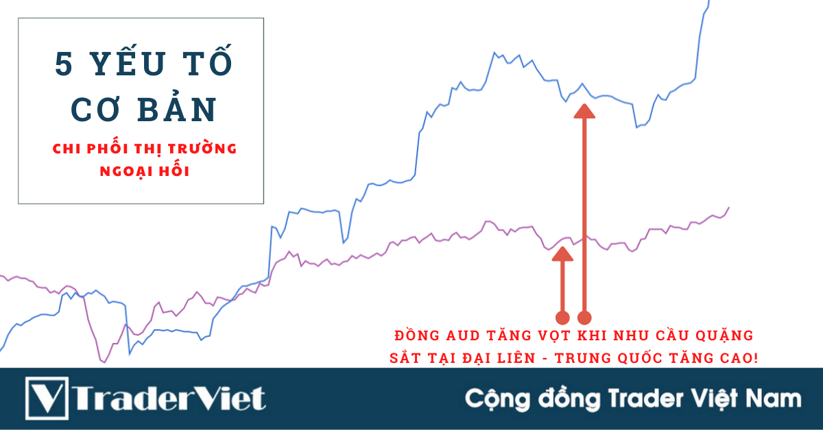 5 YẾU TỐ CƠ BẢN chi phối thị trường NGOẠI HỐI mà tất cả chúng ta cần nắm để tăng khả năng DỰ BÁO!