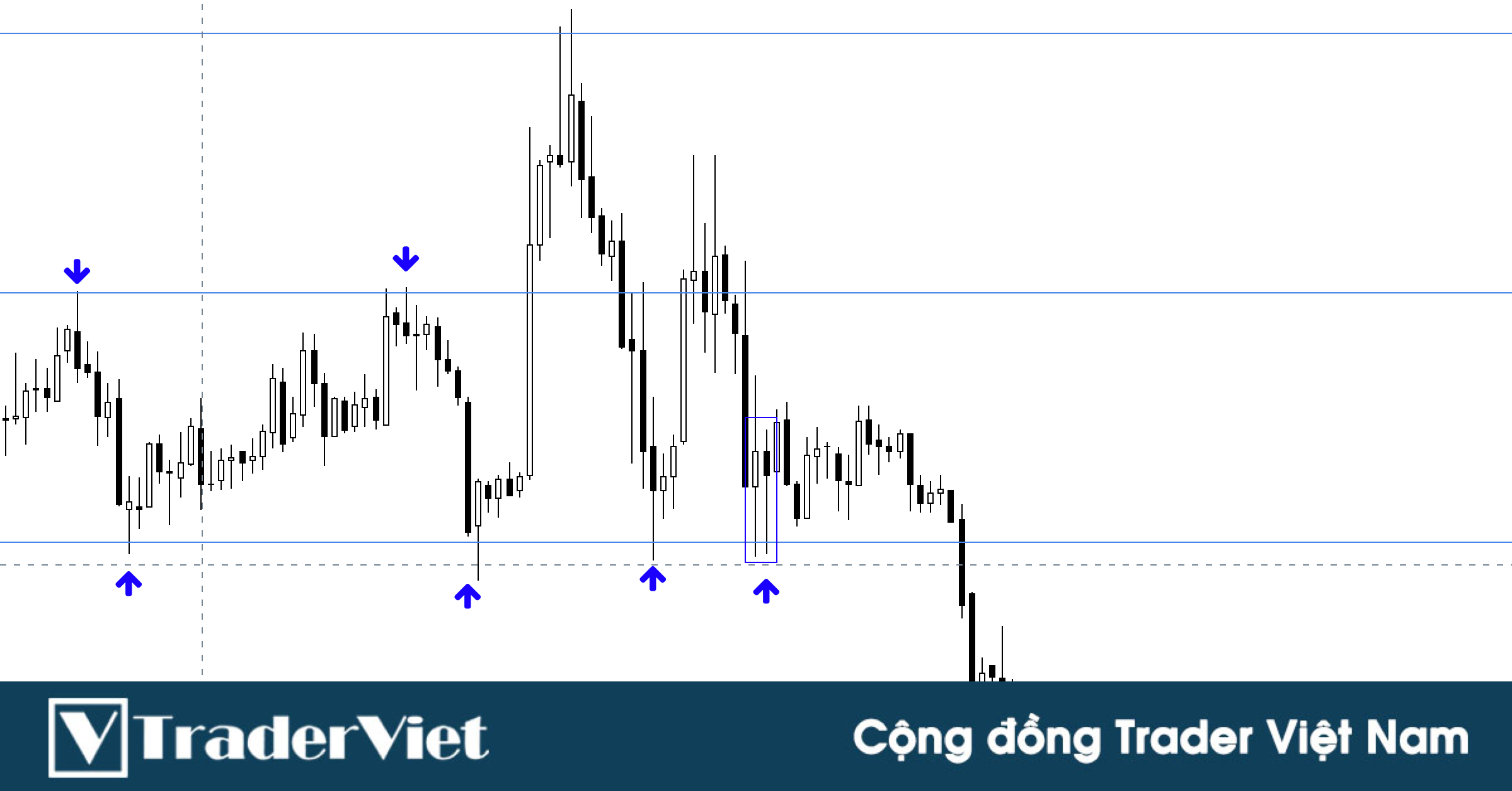 Thành thạo Price Action trong 30 ngày - Ngày 25: Phân tích thực chiến từng thanh nến