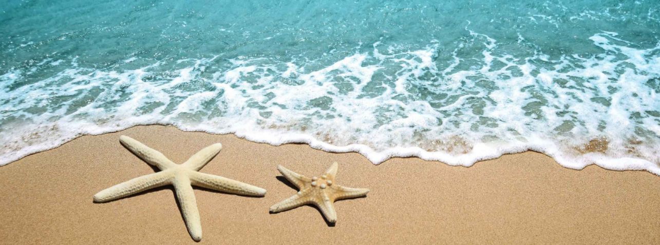 Câu chuyện về con sao biển và bài học về góc nhìn khác biệt cho Trader