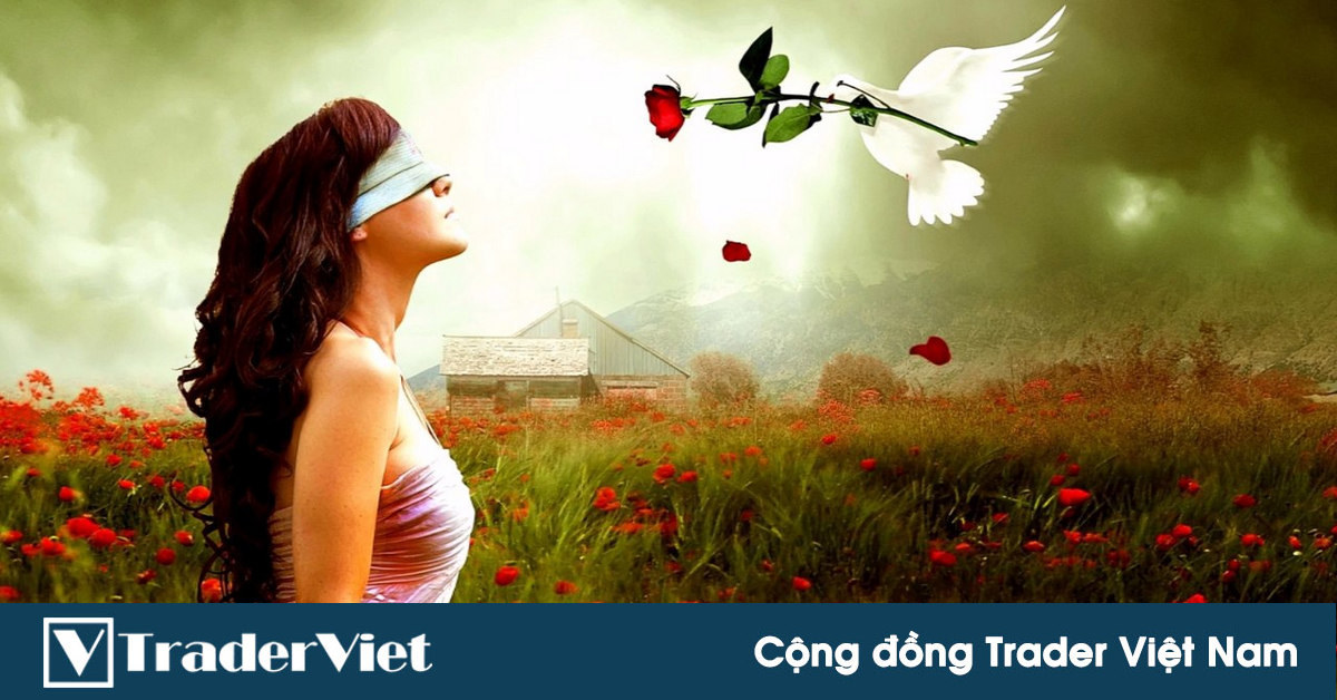 Điều may mắn nhất của một trader khi mới bước chân vào trading là gì?