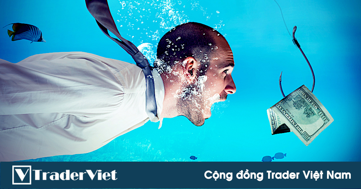 Lòng tham - Một góc nhìn cận cảnh trong case study (tình huống thực tế) khiến bạn phải tỉnh ngộ!