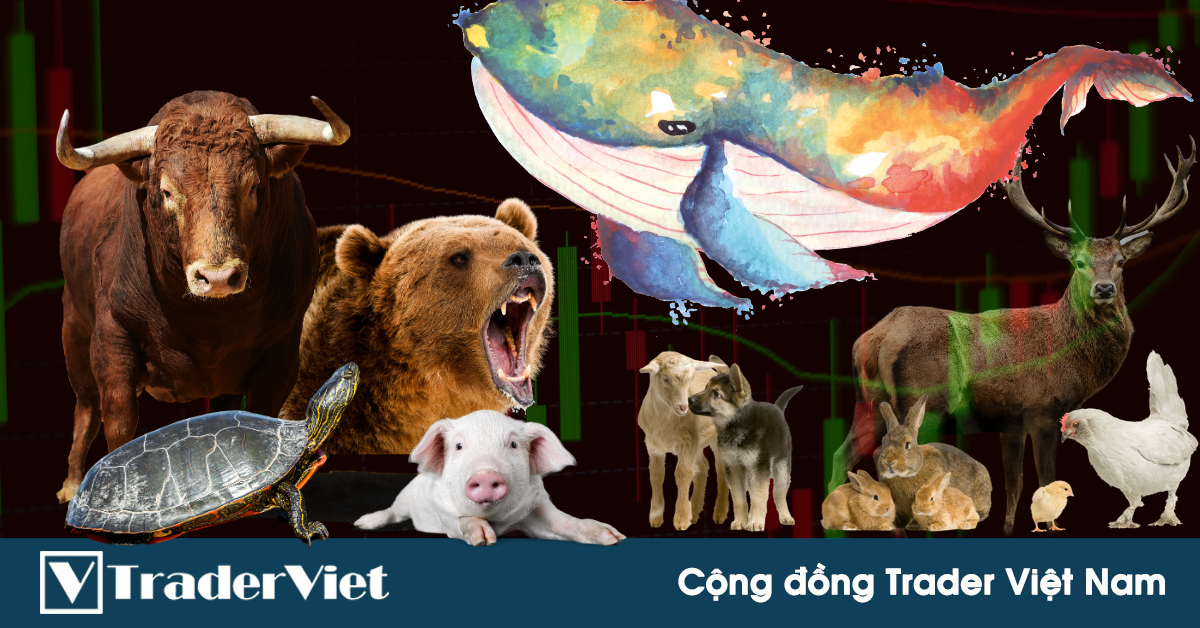 Các linh vật đặc trưng trên thị trường tài chính - Bạn thuộc nhóm nào?