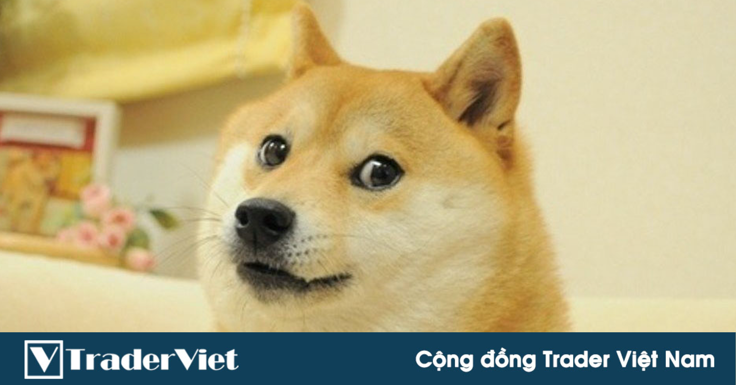 Vàng, Forex và Chứng khoán Mỹ dưới thời ông Biden sẽ ra sao?