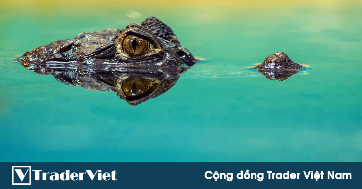 5 bước để Trader có thể giao dịch như những kẻ săn mồi!