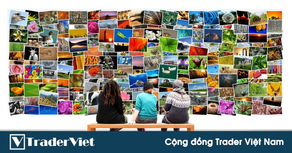 10 nguyên lý thị trường khái quát nhất dành cho Trader