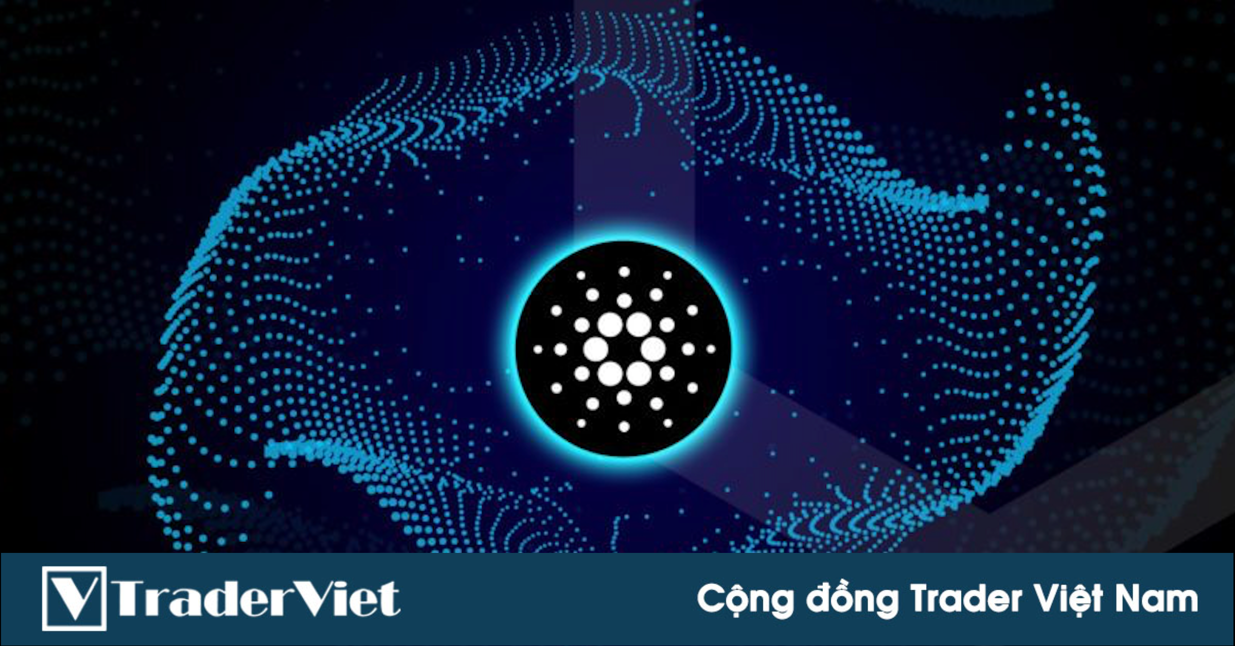 Cardano: Hard fork Mary sẽ phát hành trực tiếp trên mainnet vào ngày 1/3