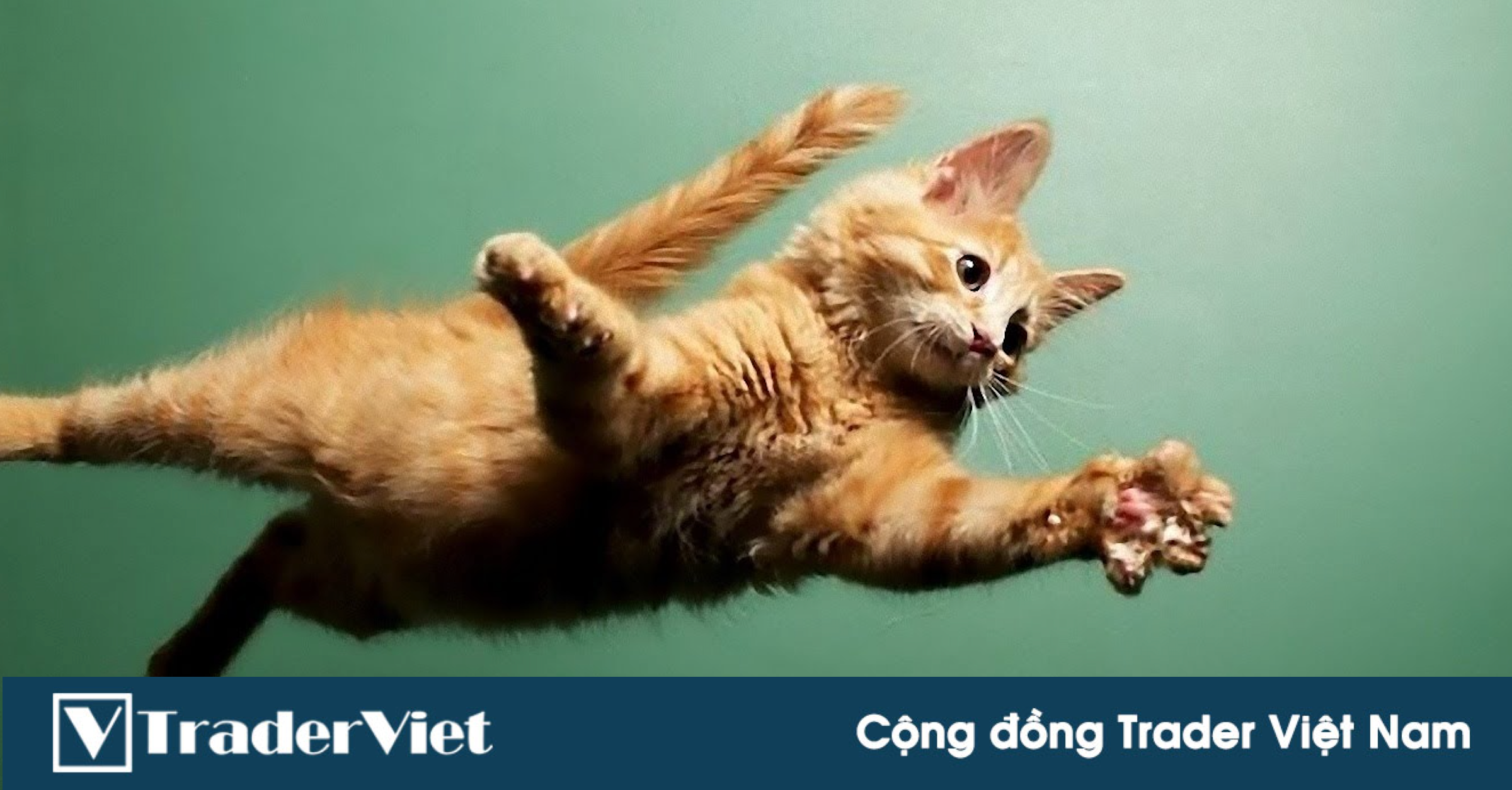 TOP 5 Altcoin đáng chú ý - Đội quân tăng giá hùng hậu - 15/3