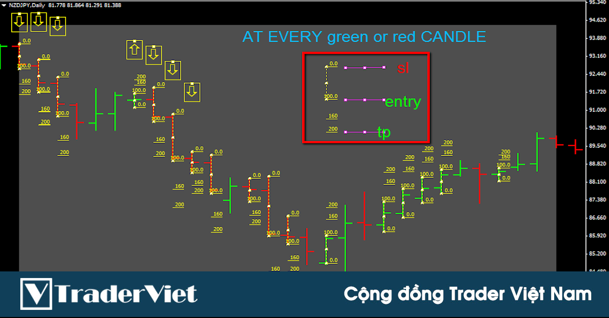 Hệ thống giao dịch không indicator, không cần phân tích, lợi nhuận 13,000%/năm trên Forex Factory