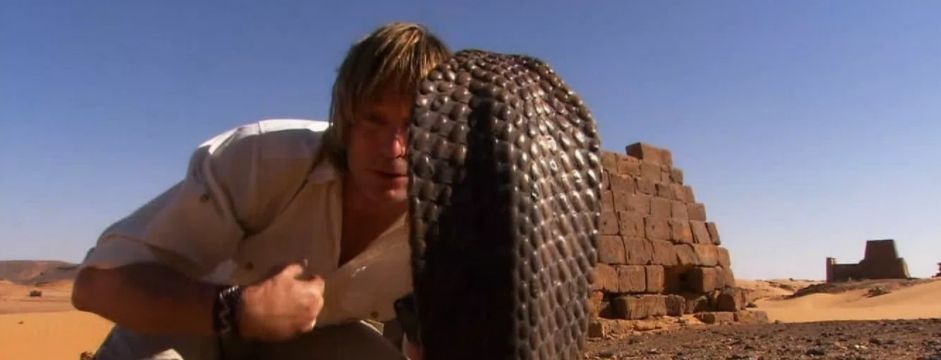 The Snake – Chỉ báo gắn ngoài và phương pháp giao dịch forex cho những Trader máu lạnh