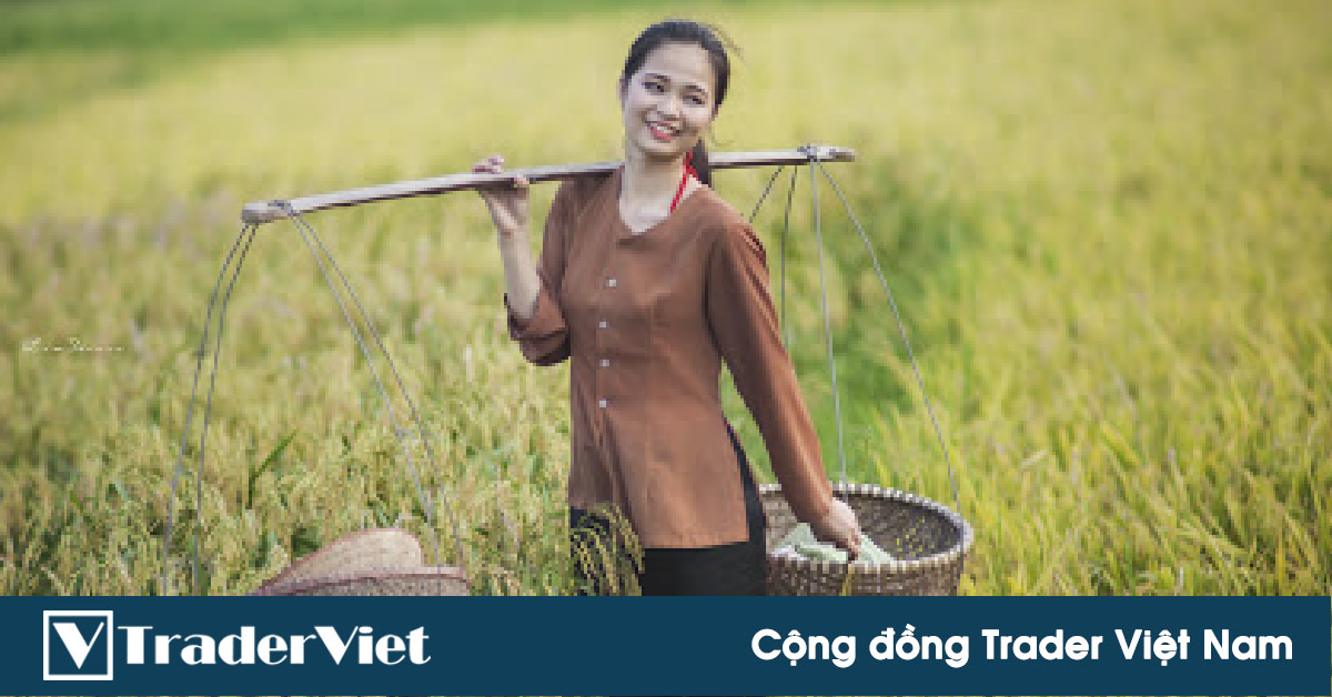 Hôm nay trade coin gì? - Ngày 15/4: Gặt lúa