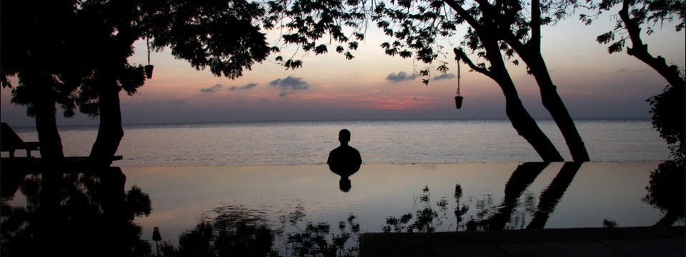 Sự thật về Trading của tôi