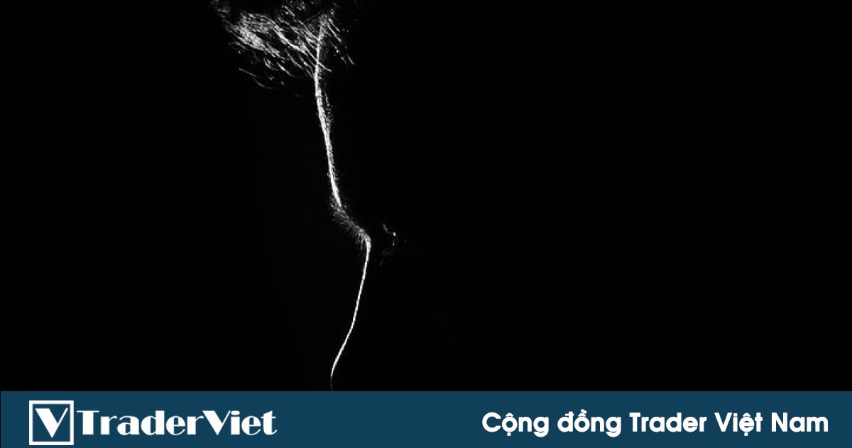 Nhạc sĩ "Nhật ký của mẹ" cay đắng mất gần 400 triệu vì tiền ảo và câu chốt "đừng chơi!"