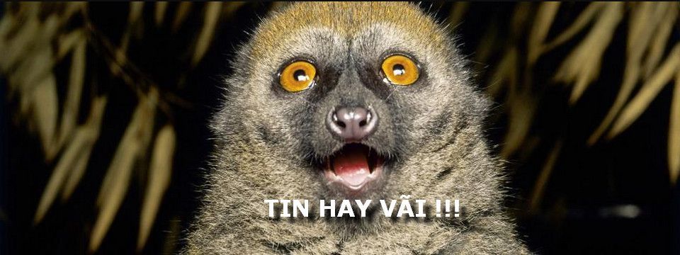 Bất ngờ lớn nhất tuần qua là gì? Mọi thứ sẽ diễn biến tiếp theo ra sao?