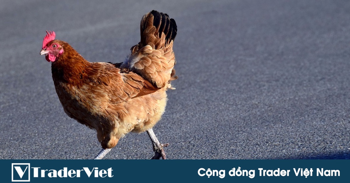 Hé lộ 'tử huyệt' của người chơi trên sàn tiền ảo "dỏm"