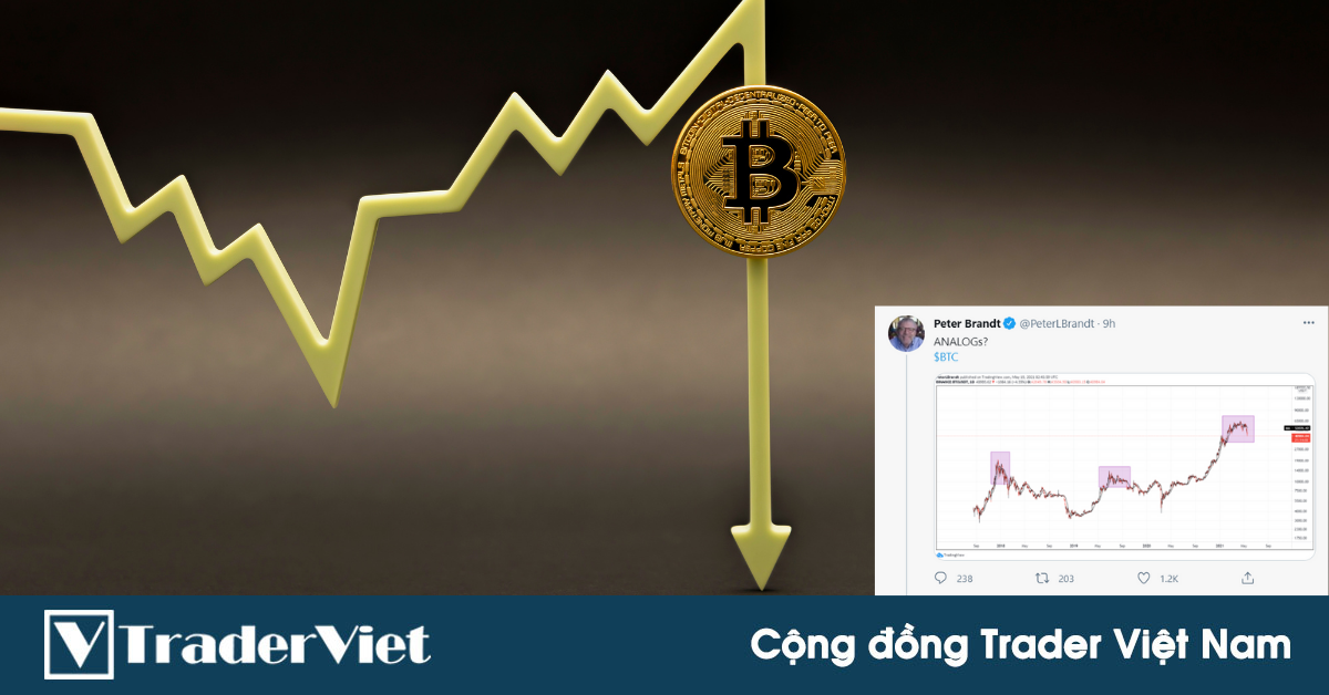 Phù thủy Peter Brandt "nhá hàng" việc Bitcoin tạo đỉnh và quyết định sẽ ngừng tweet về Tiền mã hóa một thời gian!