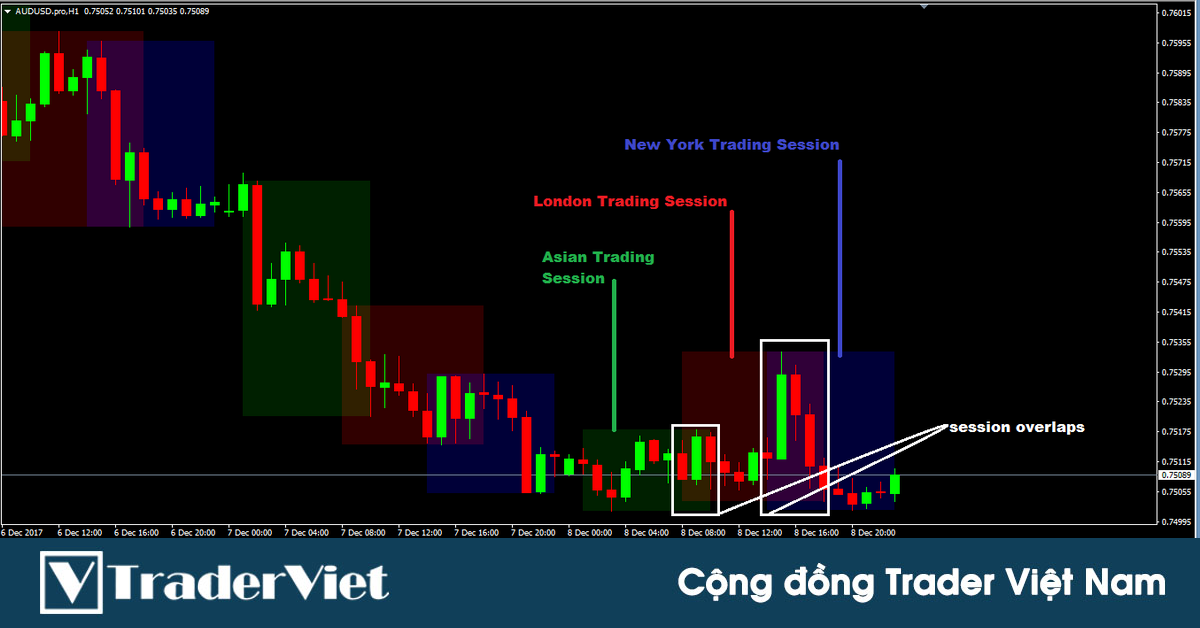 Indicator Session - Giúp trader xác định phiên giao dịch lý tưởng trên thị trường Forex