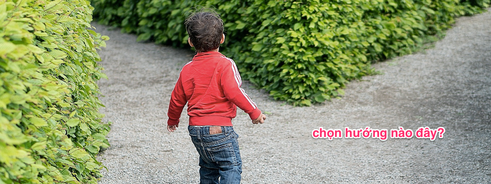 Nên sử dụng Leading hay Lagging Indicator khi trade?