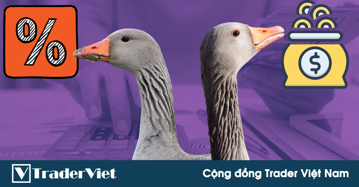 Trader nên quản lý vốn theo PHẦN TRĂM cố định hay theo SỐ LOT cố định?