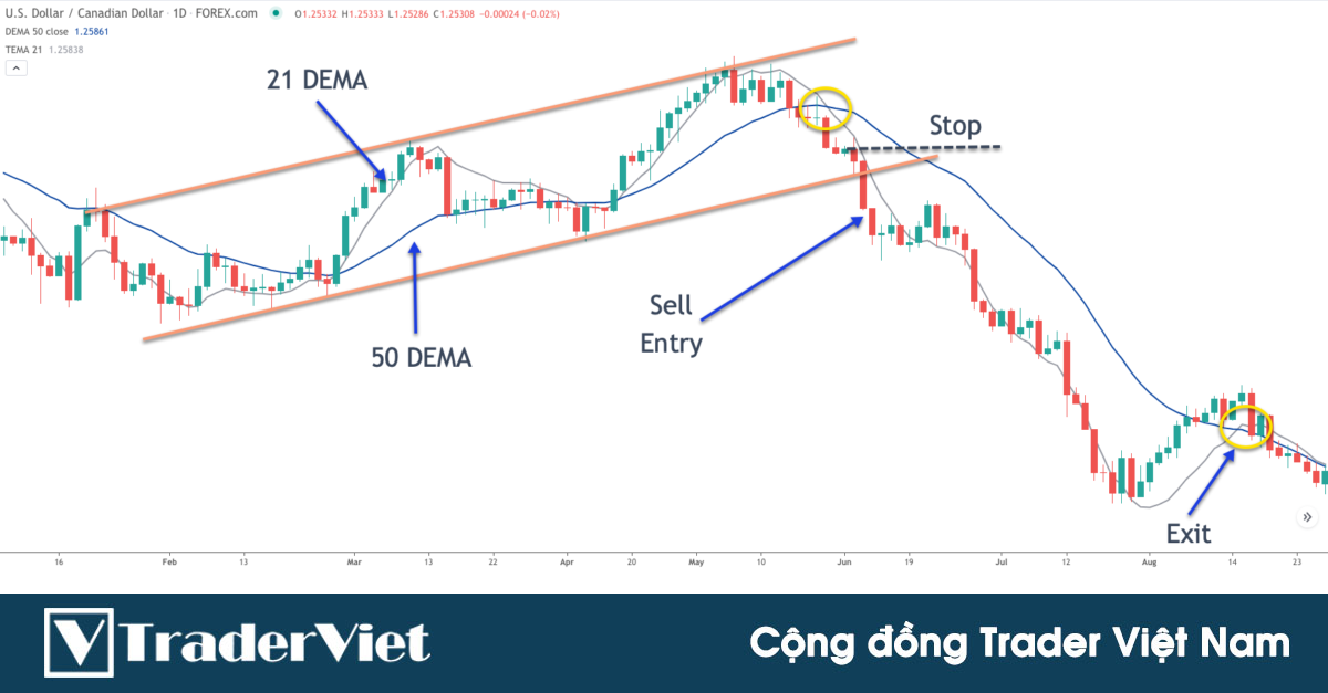Chiến lược XÁC SUẤT CAO với đường trung bình động nhạy với hành động giá nhất - DEMA