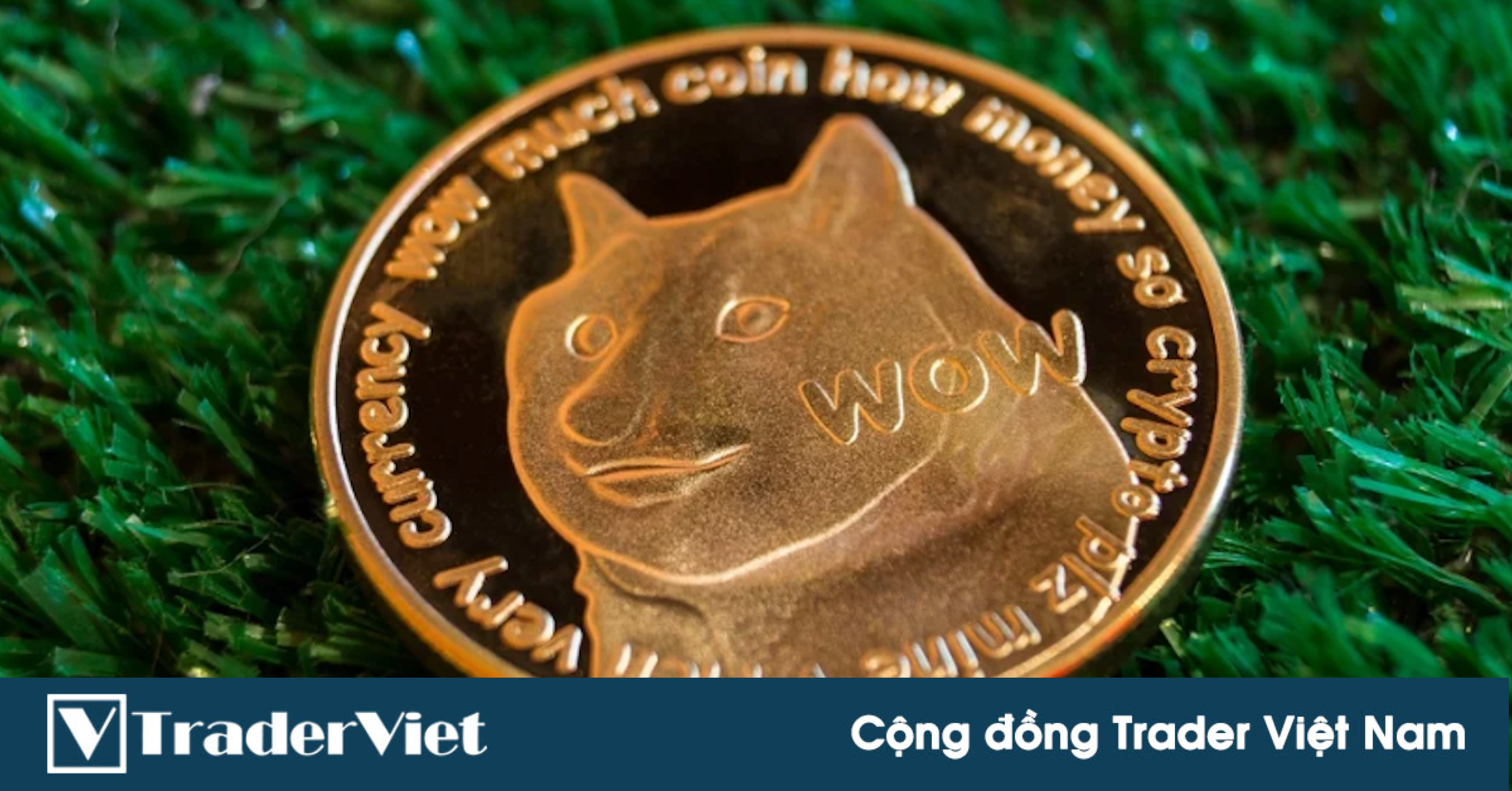Hôm nay trade coin gì? - Ngày 3/6: Gọi tên DOGE!