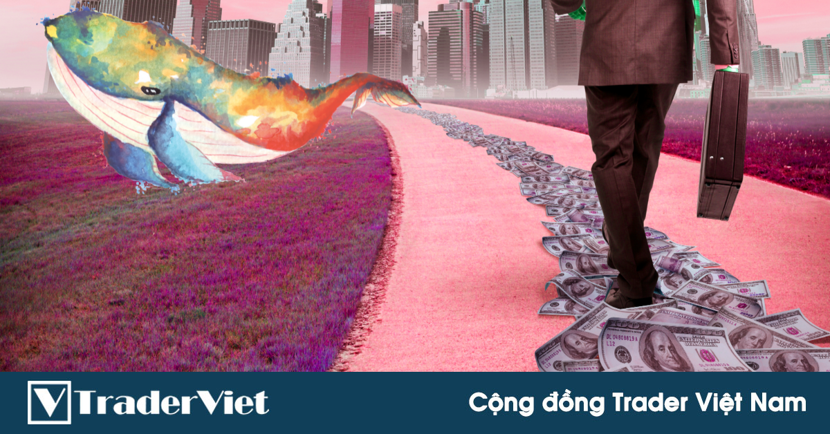 Theo chân dòng tiền thông minh trong Forex trading - 4 Chỉ báo kinh tế "xịn sò" nhất cho trader