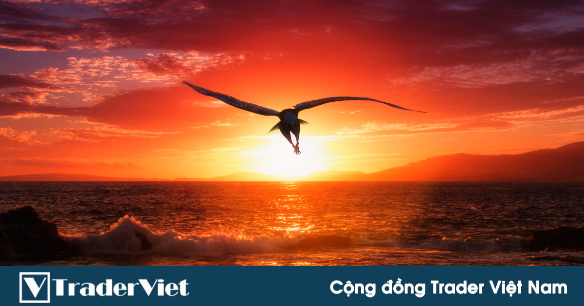 Nhận định thị trường crypto phiên 07/06: Thử áp dụng chiến lược "hung hăng" hơn!