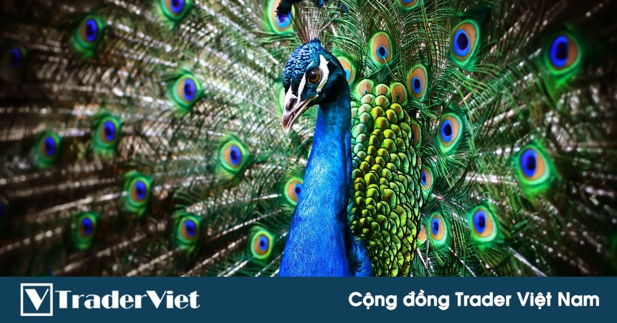 (Cà khịa) Lịch làm việc của một thanh niên "thành công" thời 4.0