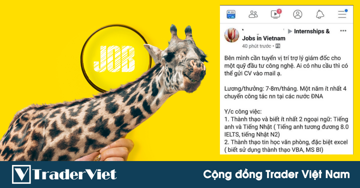 Điểm nóng MXH 14/06 - Cộng đồng Trader Việt Nam: Tuyển dụng dành cho những ai đi làm vì đam mê!