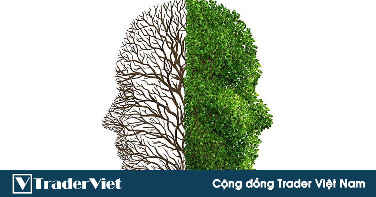 Những kiểu niềm tin sẽ giới hạn khả năng kiếm lợi nhuận của trader và công thức để loại bỏ chúng