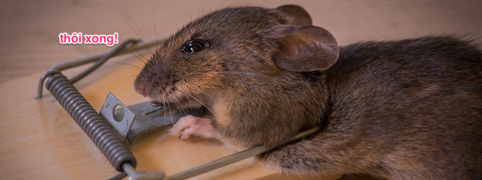 Làm sao để tránh bẫy false breakout – phá vỡ giả?