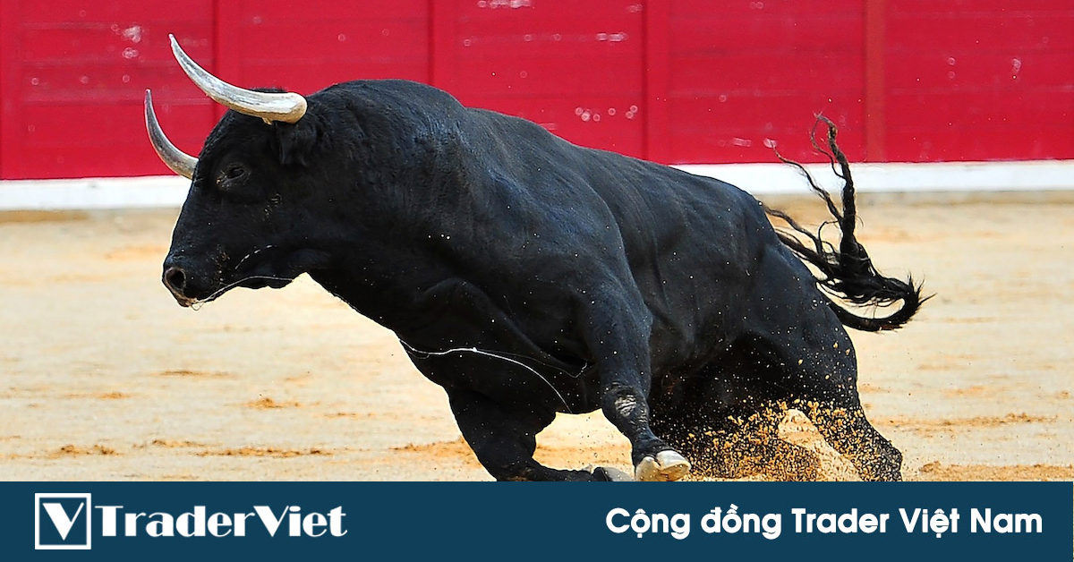 Hôm nay trade coin gì? - Ngày 29/6: Bitcoin xuất quân