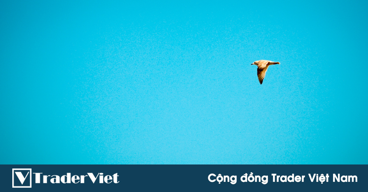 2  lý do tại sao bạn nên tránh xa thị trường không biến động khi bạn là một nhà giao dịch theo xu hướng!