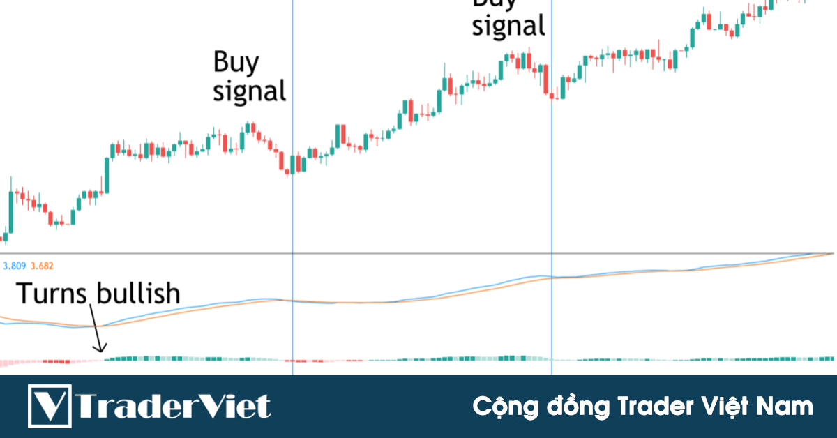 Cách kết hợp MACD và Stochastic ĐƠN GIẢN NHẤT để tìm được điểm vào lệnh XÁC SUẤT CAO