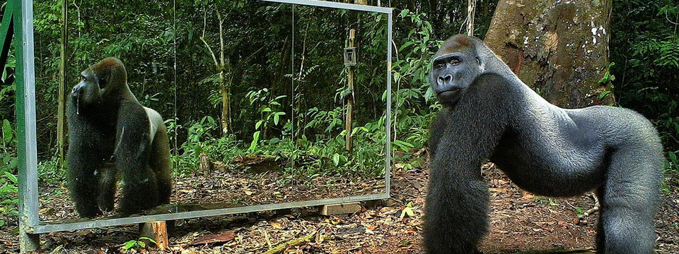 Các chiến lược giao dịch dựa trên cặp tiền tương quan