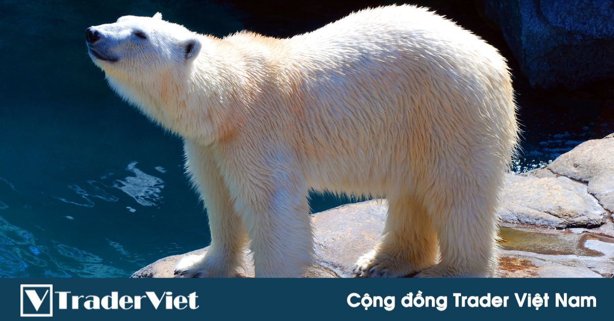 Nhận định thị trường crypto phiên 15/07: Vẫn chưa có gì ... đặc biệt!